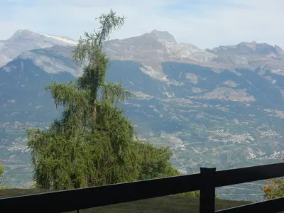 ViewSummer