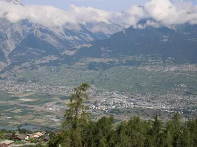 ViewSummer