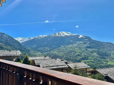 ViewSummer