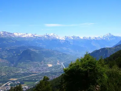 ViewSummer