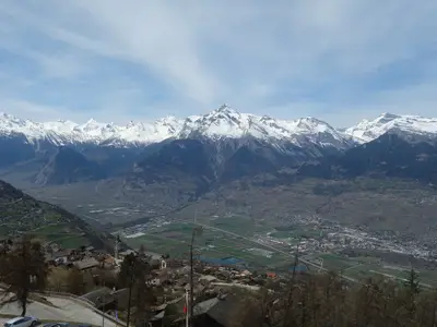 ViewSummer