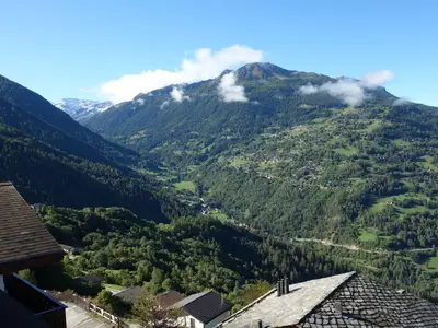 ViewSummer
