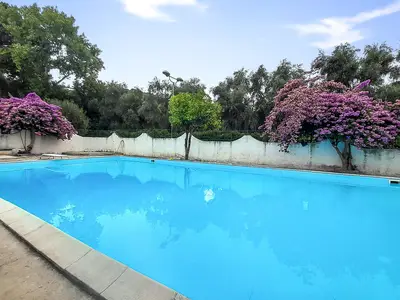 pool