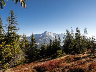 In der Region [Sommer] (>5 km)