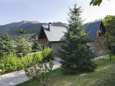 ViewSummer