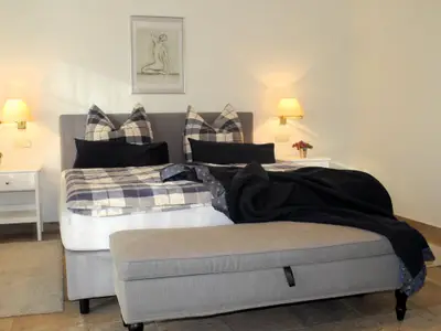 Ginster Schlafen groß