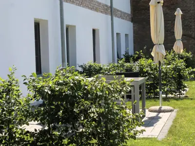 FeWo Terrasse hinten