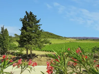 ViewSummer