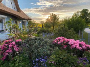 23441904-Ferienwohnung-5-Vilmnitz auf Rügen-300x225-0