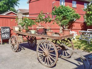 23737484-Ferienwohnung-7-Vimmerby-300x225-3