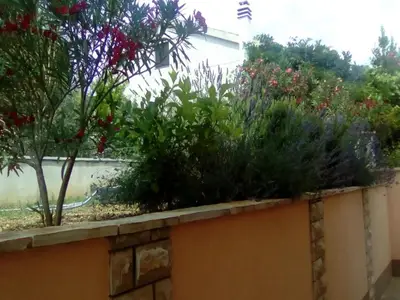 GardenSummer