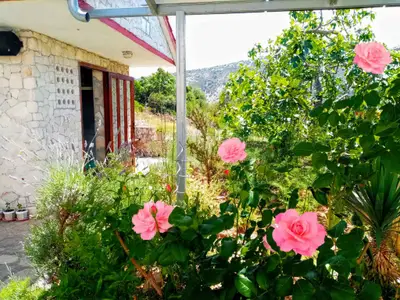 Ferienwohnung für 4 Personen (41 m²) in Vinišće 8/10
