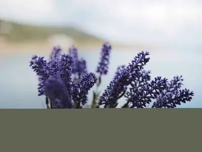 Ferienwohnung für 2 Personen (30 m²) in Vinjerac 6/10