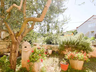 Ferienwohnung für 4 Personen (45 m²) in Vinkuran 8/10