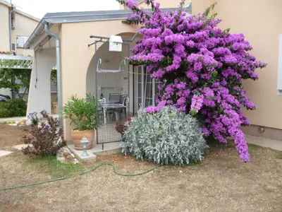 Ferienwohnung für 4 Personen (54 m²) in Vinkuran 3/10