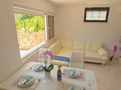 Ferienwohnung für 4 Personen (46 m²) in Vinkuran 3/10