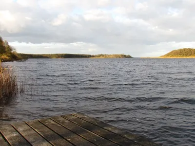 Landschaft