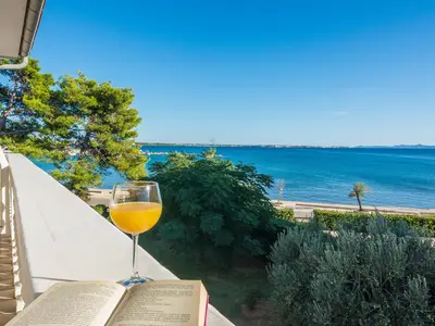 ViewSummer