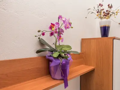 Ferienwohnung für 4 Personen (50 m²) in Vir 8/10