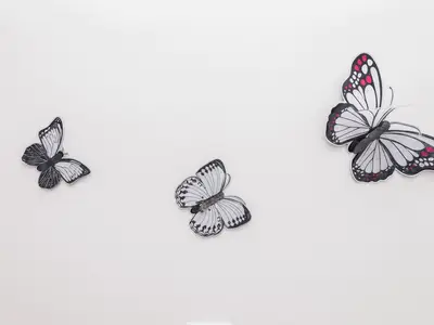 Ferienwohnung für 4 Personen (50 m²) in Vir 8/10