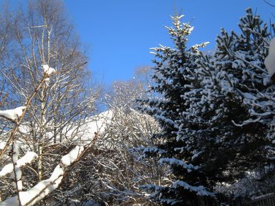 Winterstimmung im Garten