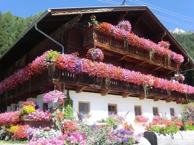 Tolahof im Sommer
