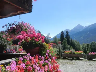 Wunderschöne Aussicht