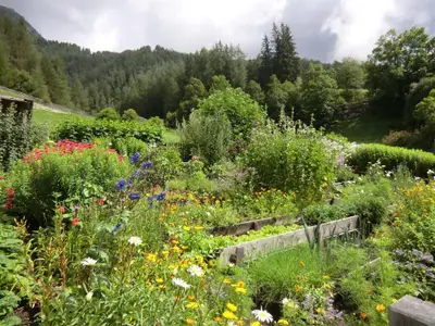 Zu einem Bauernhaus gehört auch ein Bauerngarten