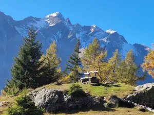 Ferienwohnung für 6 Personen (75 m²) in Virgen