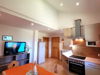 Apartment Panorama Santnerhof Virgental Österreich