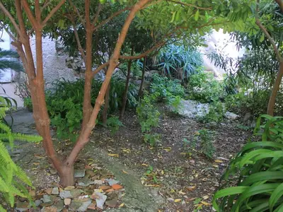 Ferienwohnung für 3 Personen in Vis 5/10