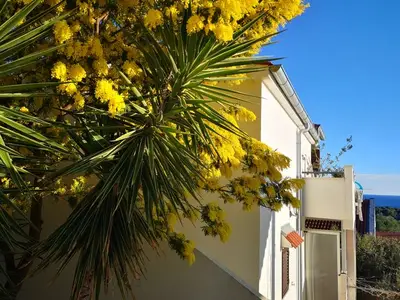 Ferienwohnung für 4 Personen in Vis 2/10