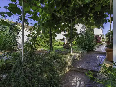 Ferienwohnung für 4 Personen (46 m²) in Višnjan 10/10