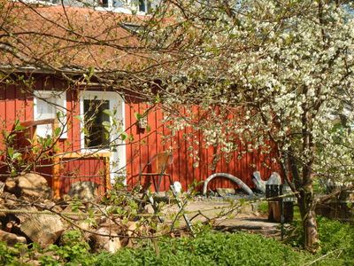 Ferienwohnung für 4 Personen (30 m²) in Vitte 2/10