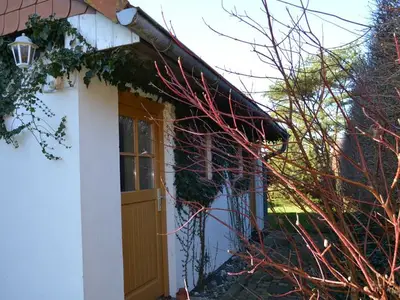 Ferienwohnung für 3 Personen (50 m²) in Insel Hiddensee 4/10