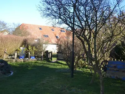 Ferienwohnung für 3 Personen (50 m²) in Insel Hiddensee 5/10