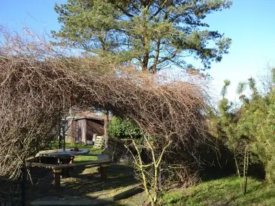 Ferienwohnung für 3 Personen (50 m²) in Insel Hiddensee 6/10