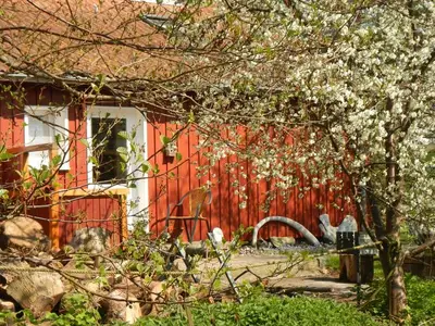 Ferienwohnung für 4 Personen (30 m²) in Insel Hiddensee 9/10