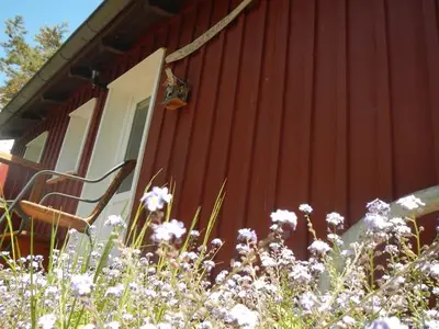Ferienwohnung für 4 Personen (30 m²) in Insel Hiddensee 10/10