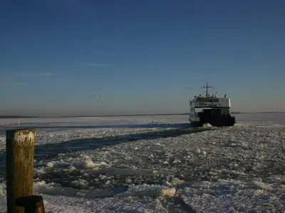 Ferienwohnung für 4 Personen (30 m²) in Insel Hiddensee 2/10