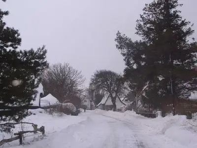 Ferienwohnung für 4 Personen (30 m²) in Insel Hiddensee 5/10