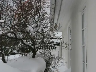 Ferienwohnung für 2 Personen (27 m²) in Insel Hiddensee 8/10