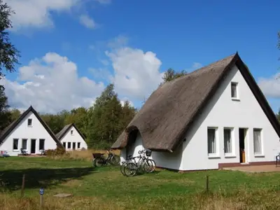 Ferienwohnung für 4 Personen (34 m²) in Insel Hiddensee 2/10