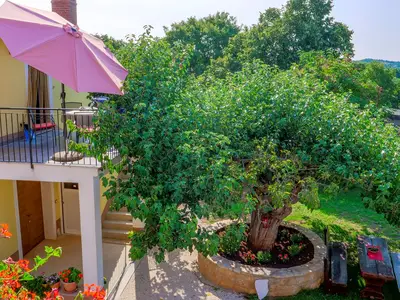 Ferienwohnung für 3 Personen (40 m²) in Vižinada 4/10