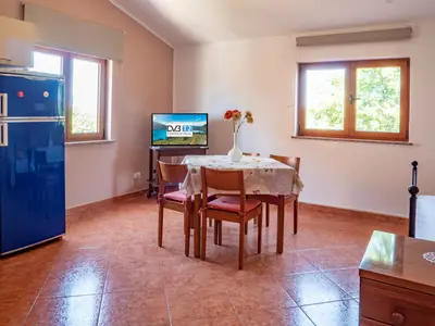 Ferienwohnung für 3 Personen (40 m²) in Vižinada 7/10