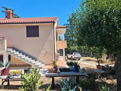 Ferienwohnung für 5 Personen (70 m²) in Vižinada 6/10