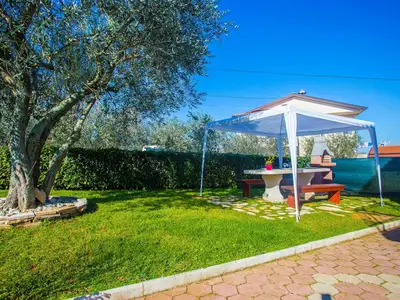 Ferienwohnung für 3 Personen (32 m²) in Vižinada 3/10