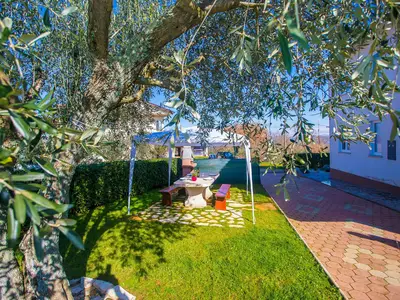 Ferienwohnung für 3 Personen (32 m²) in Vižinada 6/10