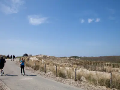 AreaSummer1KM