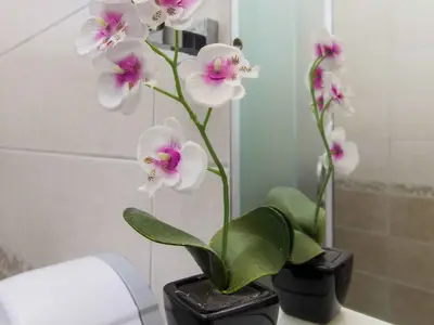 Ferienwohnung für 4 Personen (40 m²) in Jadrija 2/10